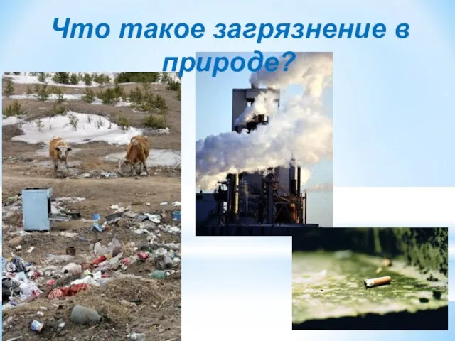 Что такое загрязнение в природе?