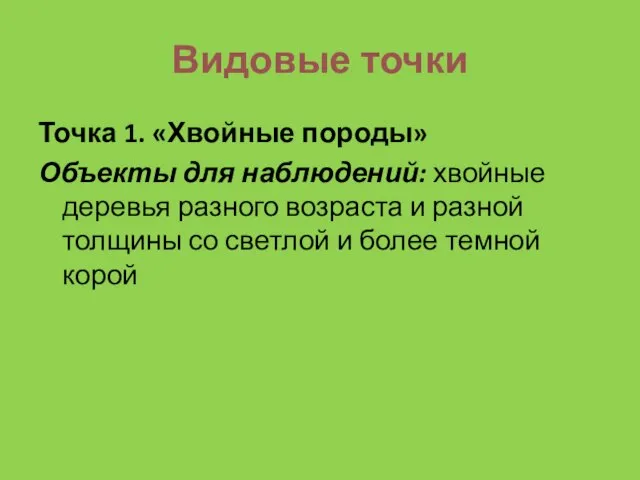 Видовые точки Точка 1. «Хвойные породы» Объекты для наблюдений: хвойные деревья разного