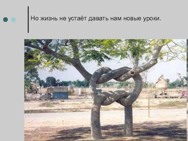 Но жизнь не устаёт давать нам новые уроки.