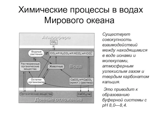 Химические процессы в водах Мирового океана Существует совокупность взаимодействий между находящимися в