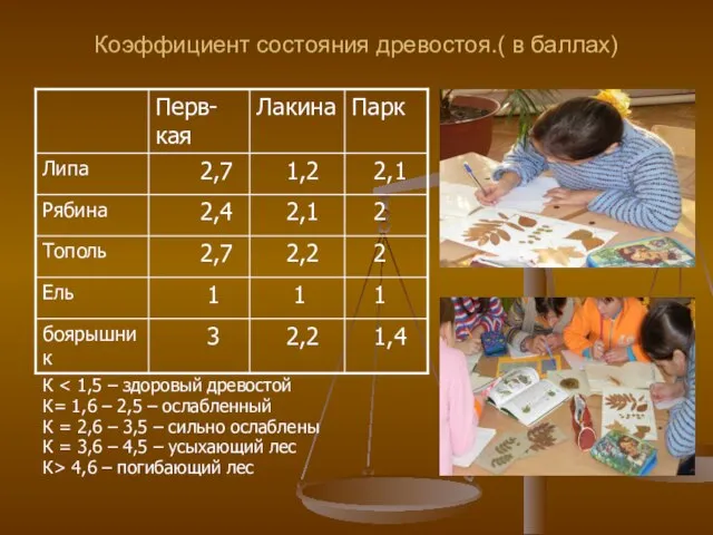 Коэффициент состояния древостоя.( в баллах) К К= 1,6 – 2,5 – ослабленный