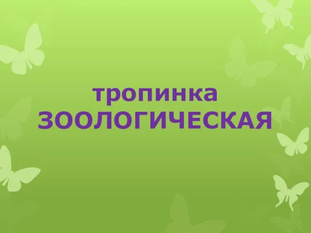 тропинка ЗООЛОГИЧЕСКАЯ