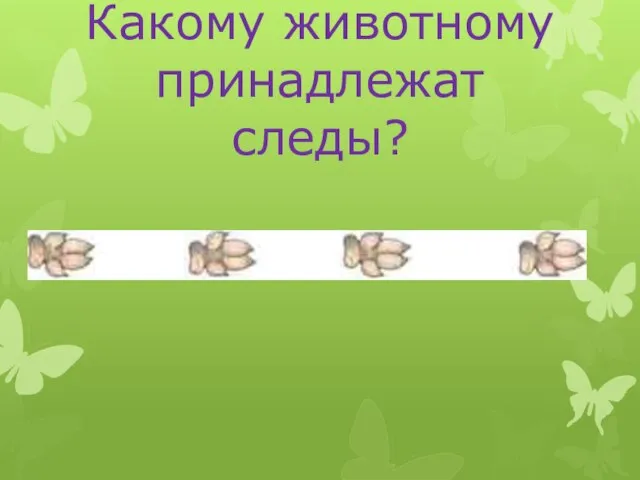 Какому животному принадлежат следы?