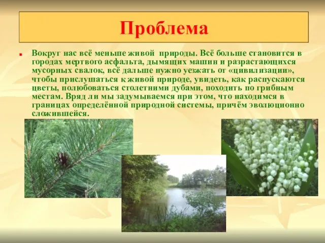 Вокруг нас всё меньше живой природы. Всё больше становится в городах мертвого