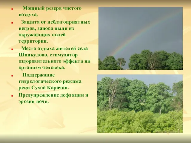 Мощный резерв чистого воздуха. Защита от неблагоприятных ветров, заноса пыли из окружающих