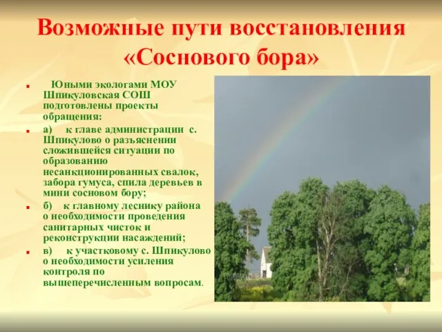 Возможные пути восстановления «Соснового бора» Юными экологами МОУ Шпикуловская СОШ подготовлены проекты