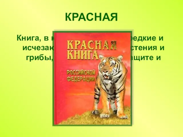 Книга, в которую занесены редкие и исчезающие животные, растения и грибы, нуждающиеся