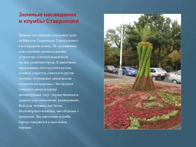Зеленые насаждения и клумбы Ставрополя Зеленые насаждения составляют одно из богатств Ставрополя.