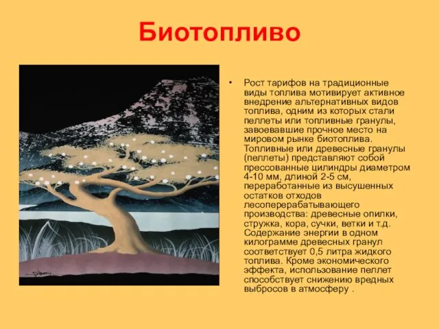 Биотопливо Рост тарифов на традиционные виды топлива мотивирует активное внедрение альтернативных видов