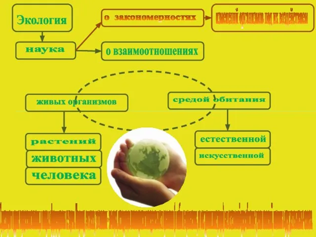 Экология наука о взаимоотношениях растений средой обитания животных человека живых организмов естественной