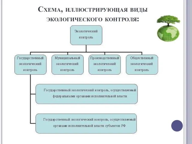 Схема, иллюстрирующая виды экологического контроля: