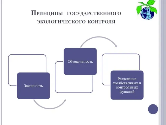 Принципы государственного экологического контроля