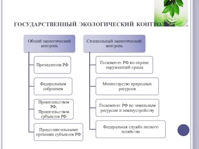 государственный экологический контроль: