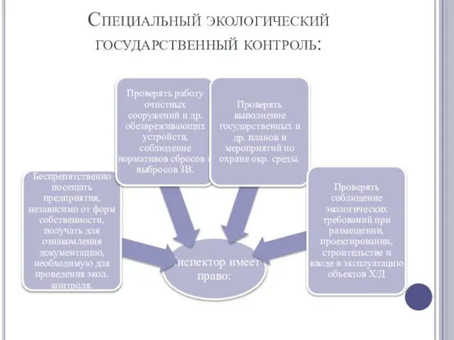 Специальный экологический государственный контроль: