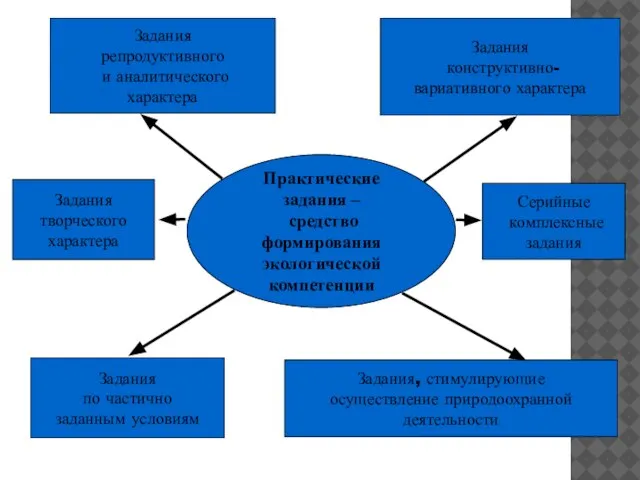 Практические задания – средство формирования экологической компетенции Задания репродуктивного и аналитического характера