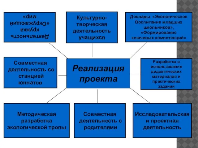 Реализация проекта Деятельность кружка «Окружающий мир» Разработка и использование дидактических материалов и