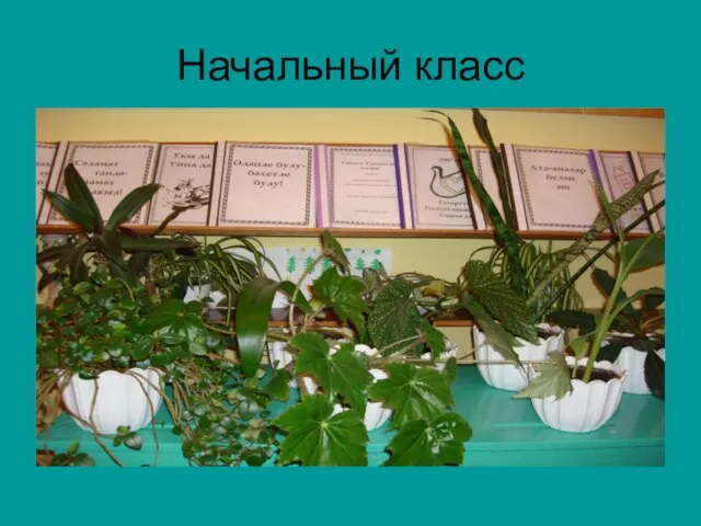 Начальный класс