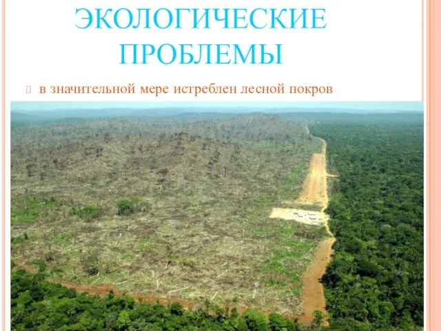 ЭКОЛОГИЧЕСКИЕ ПРОБЛЕМЫ в значительной мере истреблен лесной покров