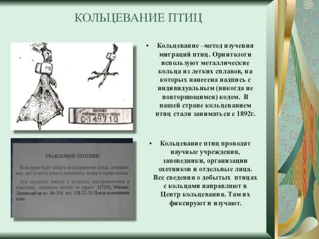 КОЛЬЦЕВАНИЕ ПТИЦ Кольцевание –метод изучения миграций птиц. Орнитологи используют металлические кольца из