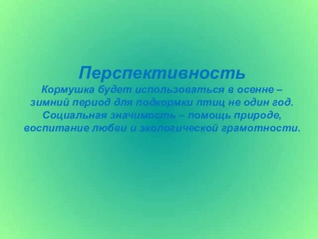 Перспективность Кормушка будет использоваться в осенне – зимний период для подкормки птиц