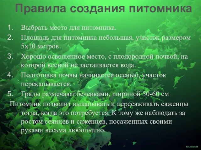 Выбрать место для питомника. Площадь для питомника небольшая, участок размером 5х10 метров.