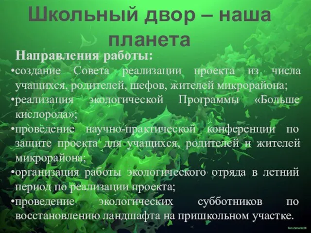 Школьный двор – наша планета Направления работы: создание Совета реализации проекта из