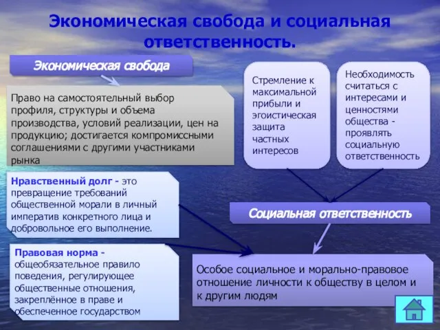 Экономическая свобода и социальная ответственность. Право на самостоятельный выбор профиля, структуры и