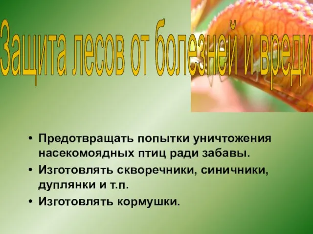 Предотвращать попытки уничтожения насекомоядных птиц ради забавы. Изготовлять скворечники, синичники, дуплянки и