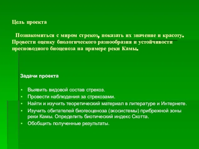 Цель проекта Познакомиться с миром стрекоз, показать их значение и красоту. Провести