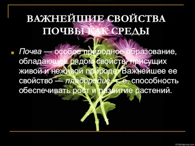 ВАЖНЕЙШИЕ СВОЙСТВА ПОЧВЫ КАК СРЕДЫ Почва — особое природное образование, обладаю­щее рядом