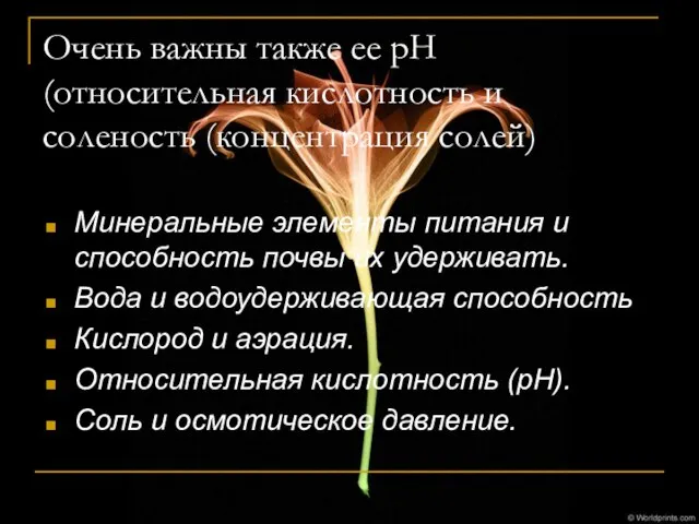 Очень важны также ее рН (относительная кислот­ность и соленость (концентрация солей) Минеральные