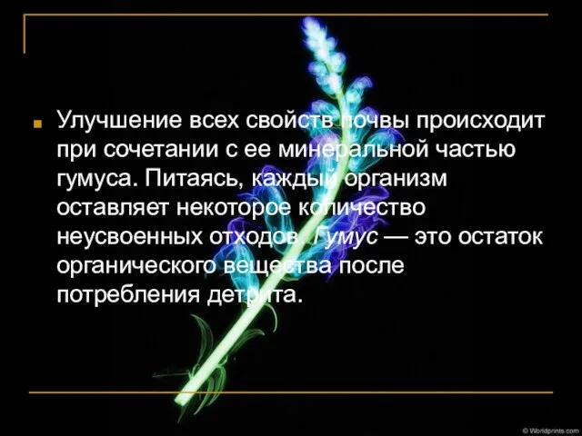 Улучшение всех свойств почвы происходит при сочетании с ее минеральной частью гумуса.