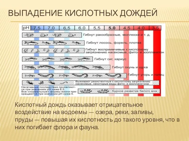 выпадение кислотных дождей Кислотный дождь оказывает отрицательное воздействие на водоемы — озера,