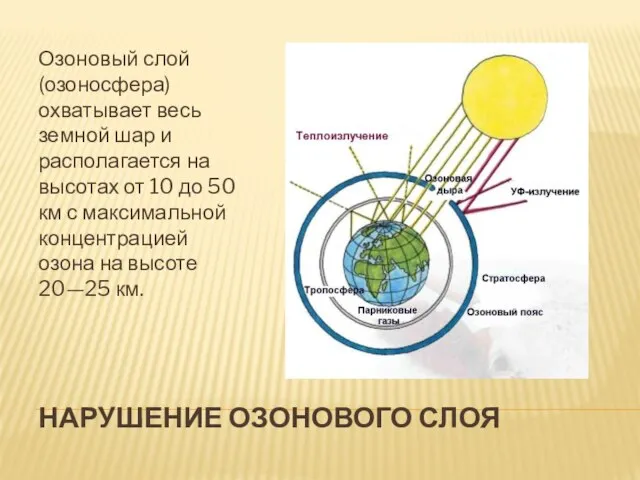 нарушение озонового слоя Озоновый слой (озоносфера) охватывает весь земной шар и располагается