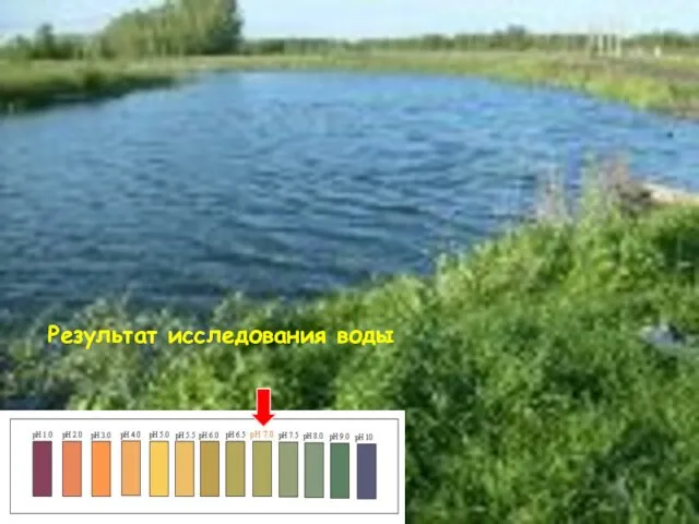 Результат исследования воды