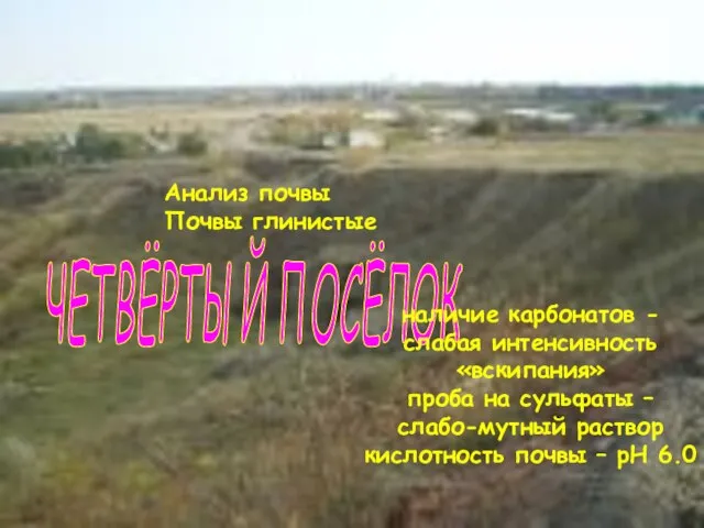 ЧЕТВЁРТЫЙ ПОСЁЛОК Анализ почвы Почвы глинистые наличие карбонатов - слабая интенсивность «вскипания»