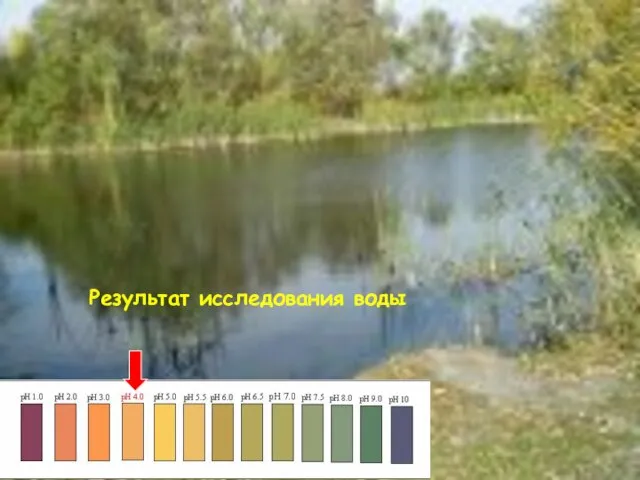 Результат исследования воды