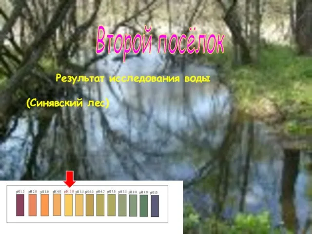 Второй посёлок Результат исследования воды (Синявский лес)