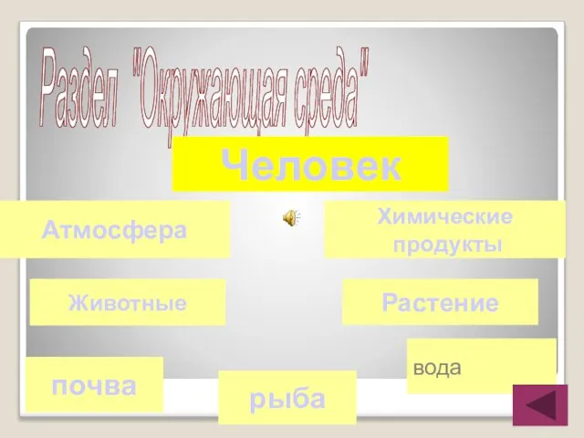 Раздел "Окружающая среда" Человек Химические продукты Атмосфера вода рыба почва Животные Растение