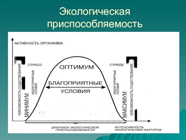 Экологическая приспособляемость