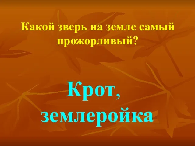 Какой зверь на земле самый прожорливый? Крот, землеройка