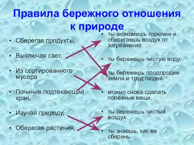 Правила бережного отношения к природе Сберегая продукты, Выключая свет, Из сортированного мусора