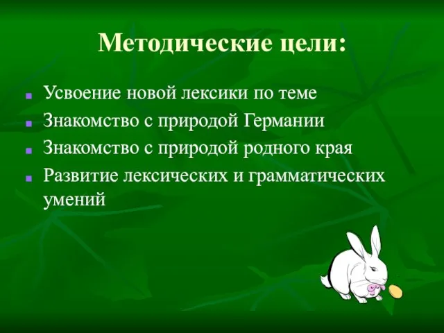 Методические цели: Усвоение новой лексики по теме Знакомство с природой Германии Знакомство