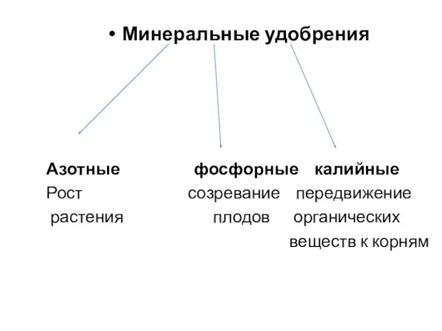 Минеральные удобрения Азотные фосфорные калийные Рост созревание передвижение растения плодов органических веществ к корням