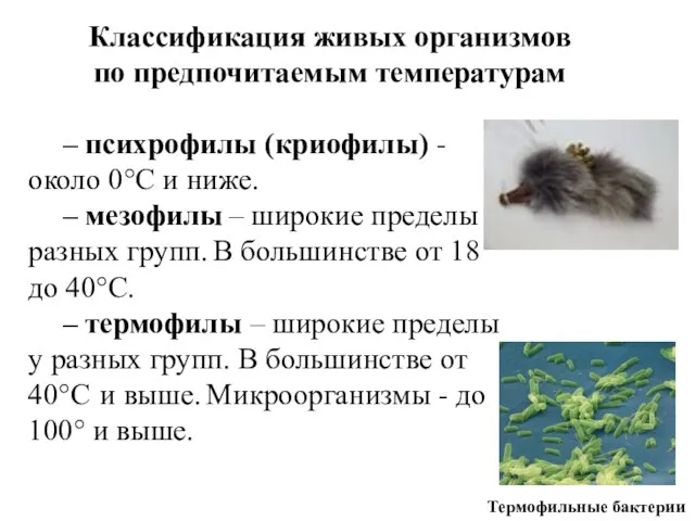 – психрофилы (криофилы) - около 0°С и ниже. – мезофилы – широкие