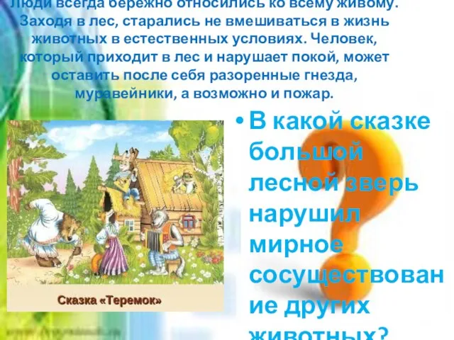 Люди всегда бережно относились ко всему живому. Заходя в лес, старались не