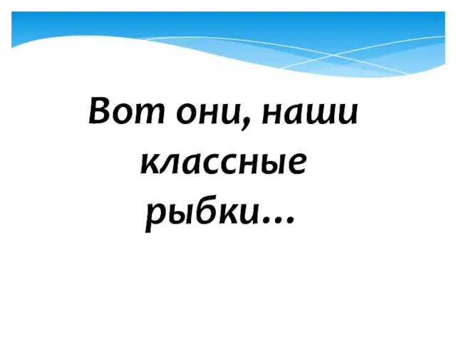 Вот они, наши классные рыбки…