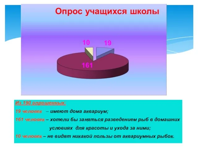 Из 190 опрошенных: 19 человек – имеют дома аквариум; 161 человек –