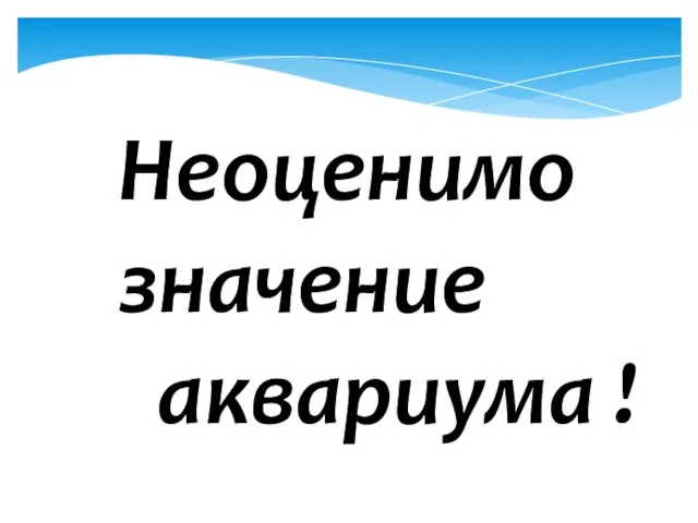 Неоценимо значение аквариума !