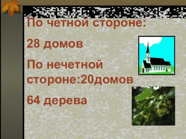 По четной стороне: 28 домов По нечетной стороне:20домов 64 дерева